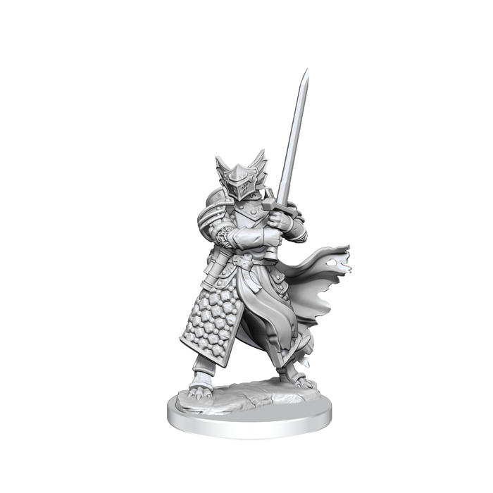 D&D: Frameworks - Dragonborn Paladin Male - for just $17.99! 