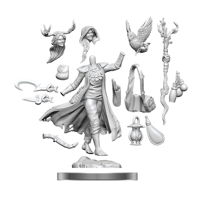 D&D: Frameworks - Human Druid Female - for just $17.99! 