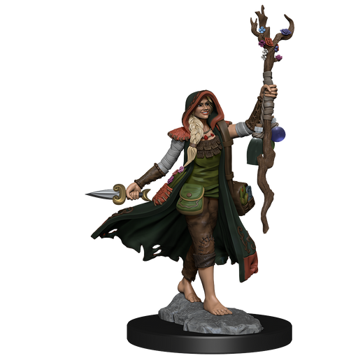 D&D: Frameworks - Human Druid Female - for just $17.99! 