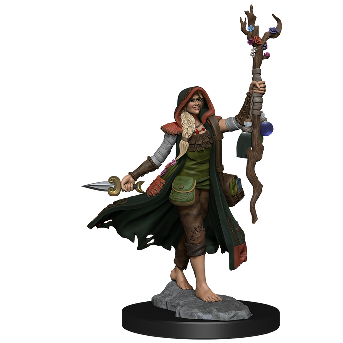 D&D: Frameworks - Human Druid Female - for just $17.99! 