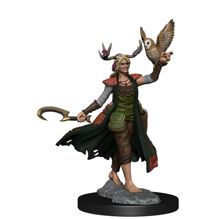 D&D: Frameworks - Human Druid Female - for just $17.99! 