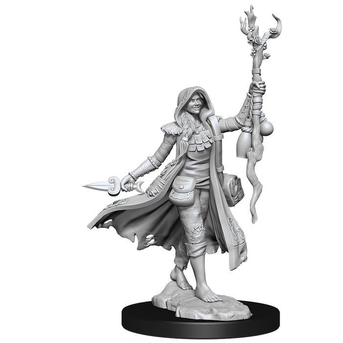 D&D: Frameworks - Human Druid Female - for just $17.99! 