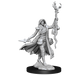 D&D: Frameworks - Human Druid Female - for just $17.99! 