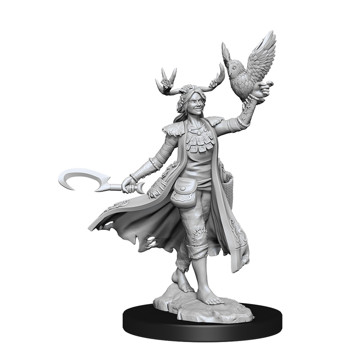 D&D: Frameworks - Human Druid Female - for just $17.99! 