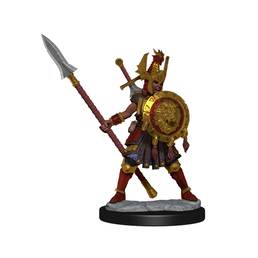 D&D: Frameworks - Human Fighter Female - for just $17.99! 