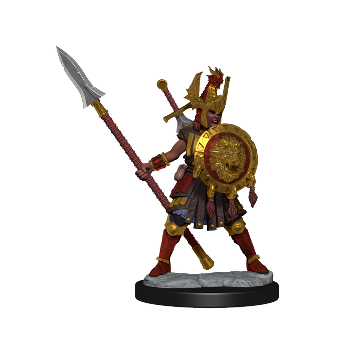D&D: Frameworks - Human Fighter Female - for just $17.99! 
