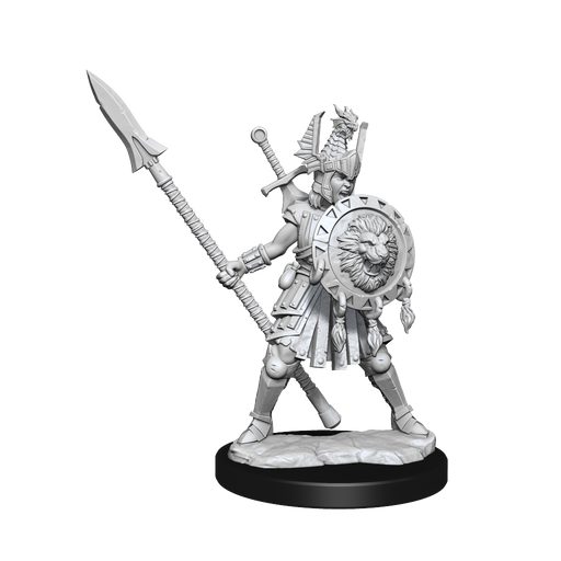 D&D: Frameworks - Human Fighter Female - for just $17.99! 