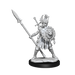 D&D: Frameworks - Human Fighter Female - for just $17.99! 