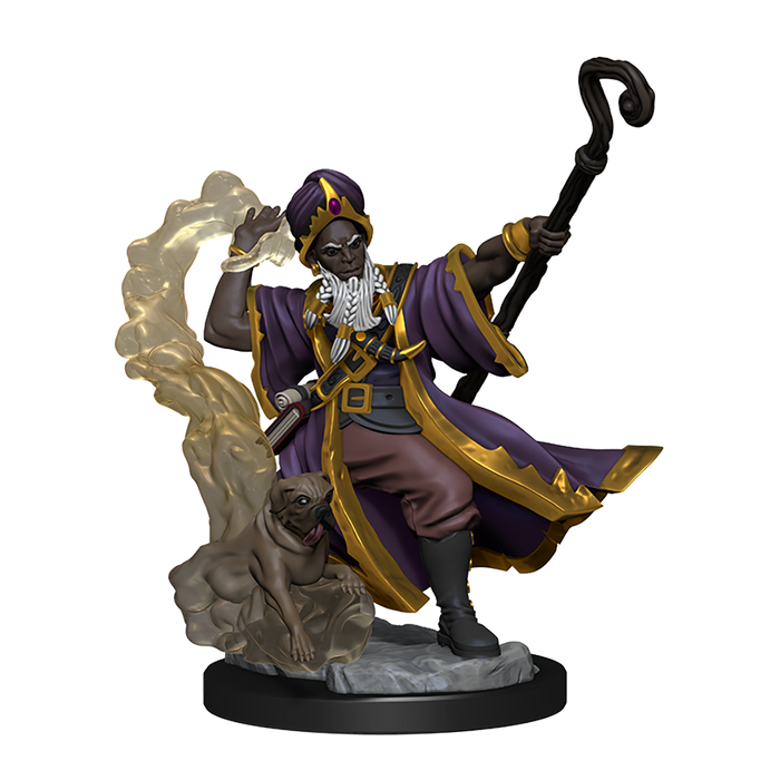 D&D: Frameworks - Human Wizard Male - for just $8.99! 