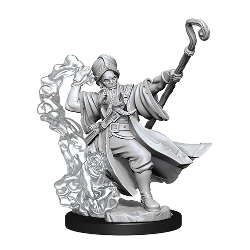 D&D: Frameworks - Human Wizard Male - for just $8.99! 