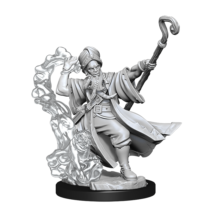 D&D: Frameworks - Human Wizard Male - for just $8.99! 