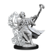 D&D: Frameworks - Human Wizard Male - for just $8.99! 