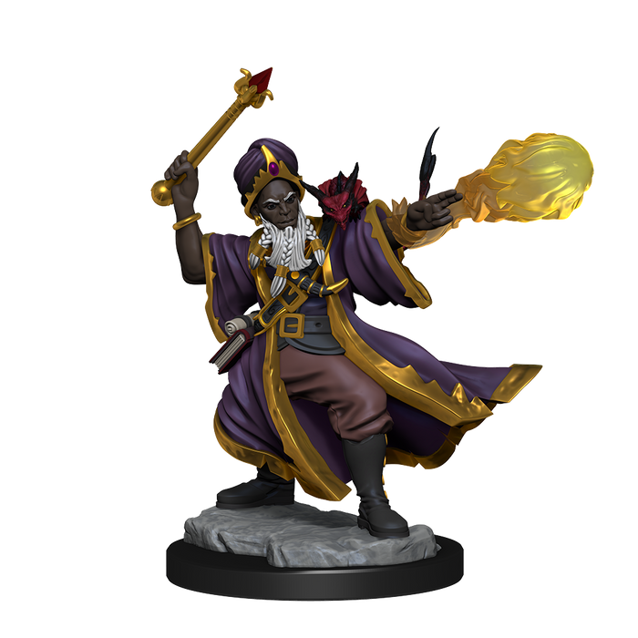 D&D: Frameworks - Human Wizard Male - for just $8.99! 