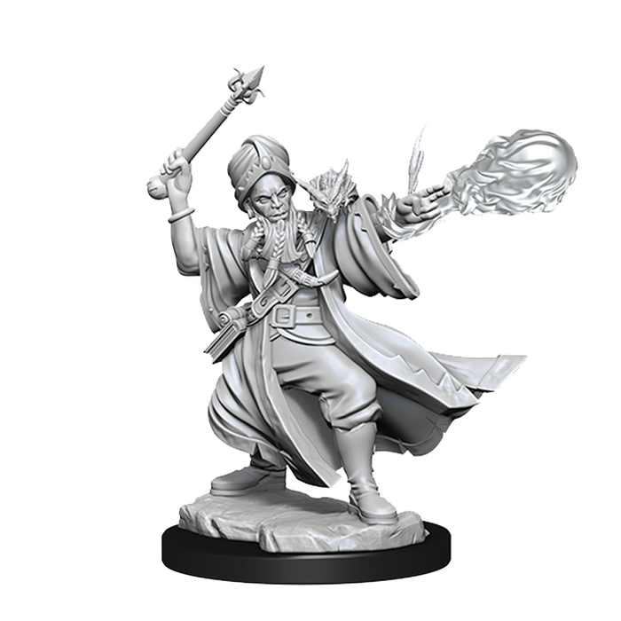 D&D: Frameworks - Human Wizard Male - for just $8.99! 