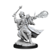 D&D: Frameworks - Human Wizard Male - for just $8.99! 