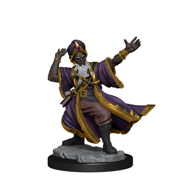 D&D: Frameworks - Human Wizard Male - for just $8.99! 