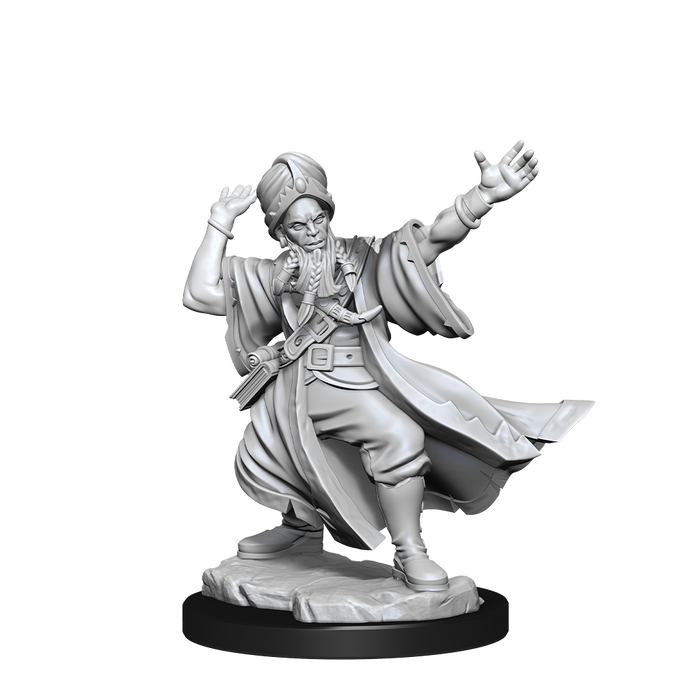 D&D: Frameworks - Human Wizard Male - for just $8.99! 
