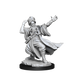 D&D: Frameworks - Human Wizard Male - for just $8.99! 