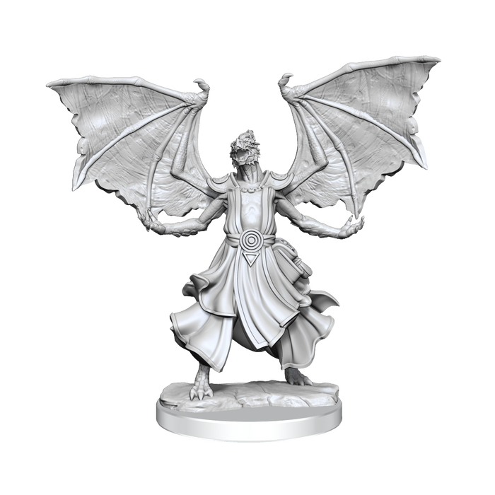 D&D: Frameworks - Dragonborn Sorcerer Female - for just $17.99! 