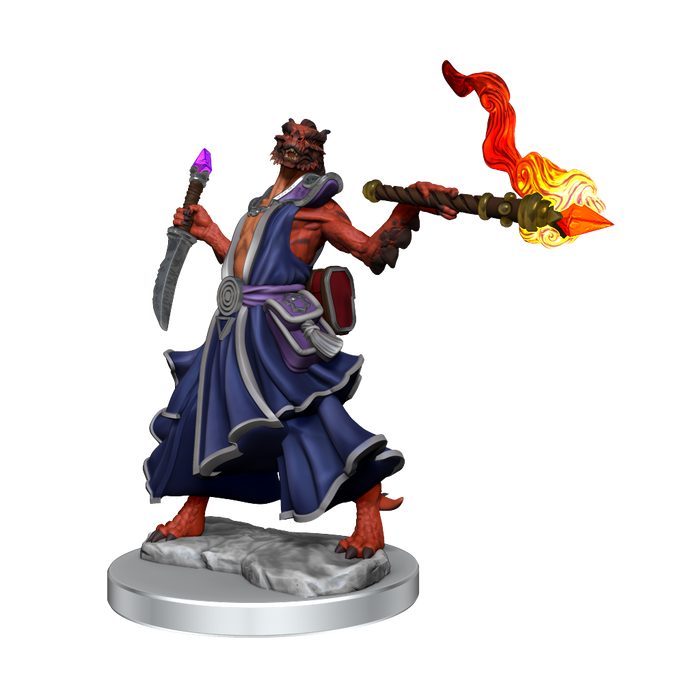 D&D: Frameworks - Dragonborn Sorcerer Female - for just $17.99! 