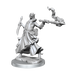 D&D: Frameworks - Dragonborn Sorcerer Female - for just $17.99! 