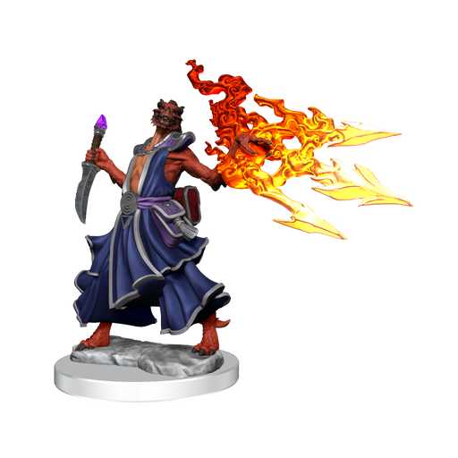 D&D: Frameworks - Dragonborn Sorcerer Female - for just $17.99! 