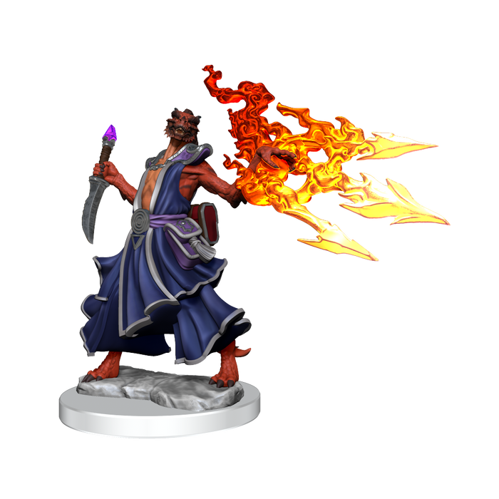 D&D: Frameworks - Dragonborn Sorcerer Female - for just $17.99! 