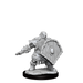 D&D: Frameworks - Dwarf Fighter Male - for just $17.99! 
