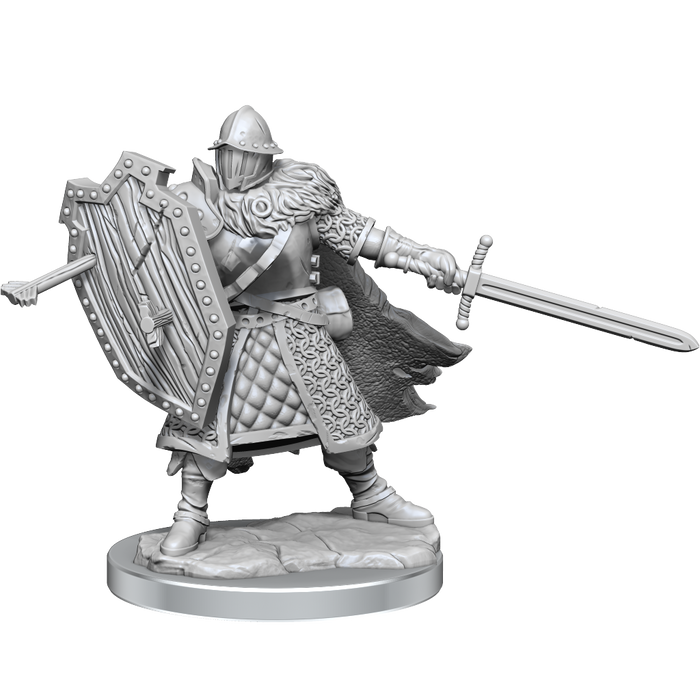 D&D: Frameworks - Human Fighter Male - for just $17.99! 