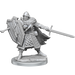 D&D: Frameworks - Human Fighter Male - for just $17.99! 