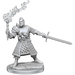 D&D: Frameworks - Human Fighter Male - for just $17.99! 
