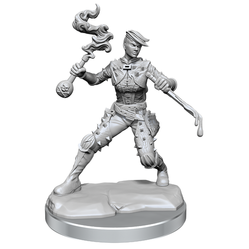 D&D: Frameworks - Human Rogue Female - for just $17.99! 