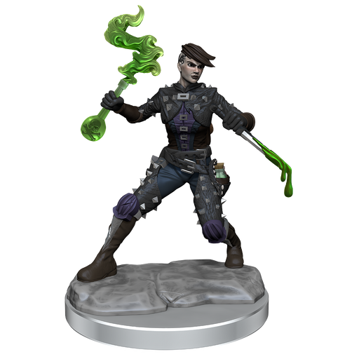 D&D: Frameworks - Human Rogue Female - for just $17.99! 