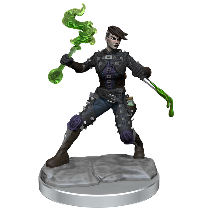 D&D: Frameworks - Human Rogue Female - for just $17.99! 