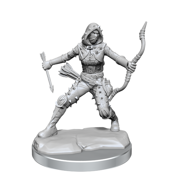 D&D: Frameworks - Human Rogue Female - for just $17.99! 