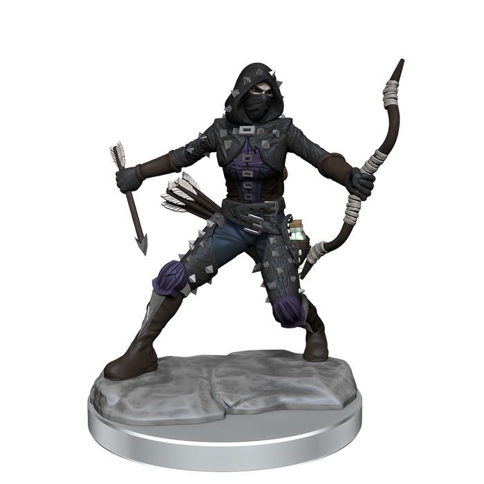 D&D: Frameworks - Human Rogue Female - for just $17.99! 
