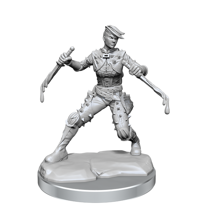 D&D: Frameworks - Human Rogue Female - for just $17.99! 
