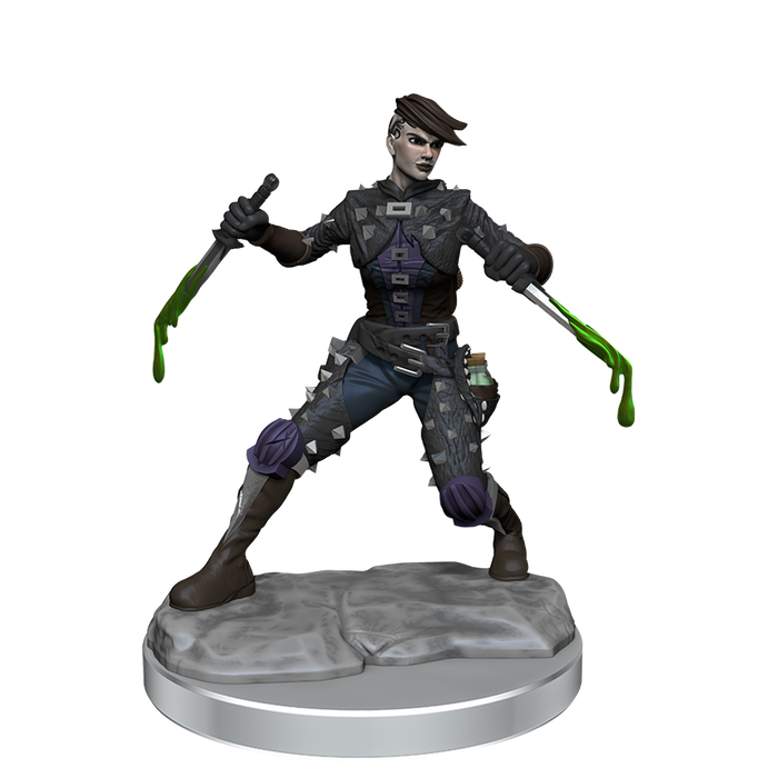 D&D: Frameworks - Human Rogue Female - for just $17.99! 