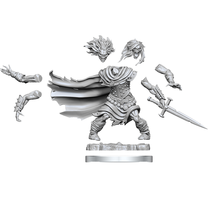 D&D: Frameworks - Wight - for just $17.99! 