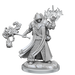 D&D: Frameworks - Human Cleric Male - for just $17.99! 