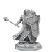D&D: Frameworks - Human Cleric Male - for just $17.99! 