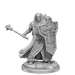 D&D: Frameworks - Human Cleric Male - for just $17.99! 