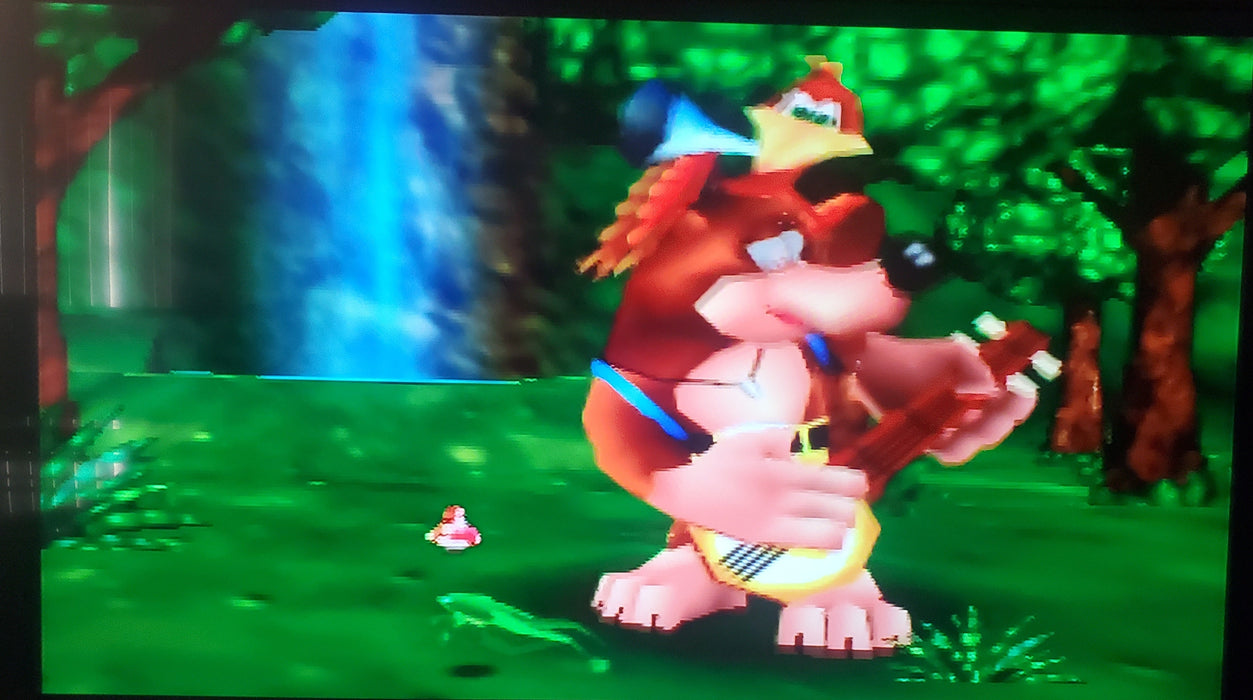 Banjo Kazooie N64 Nintendo 64 Video Game Cartridge 1998 - for just $21.99! 