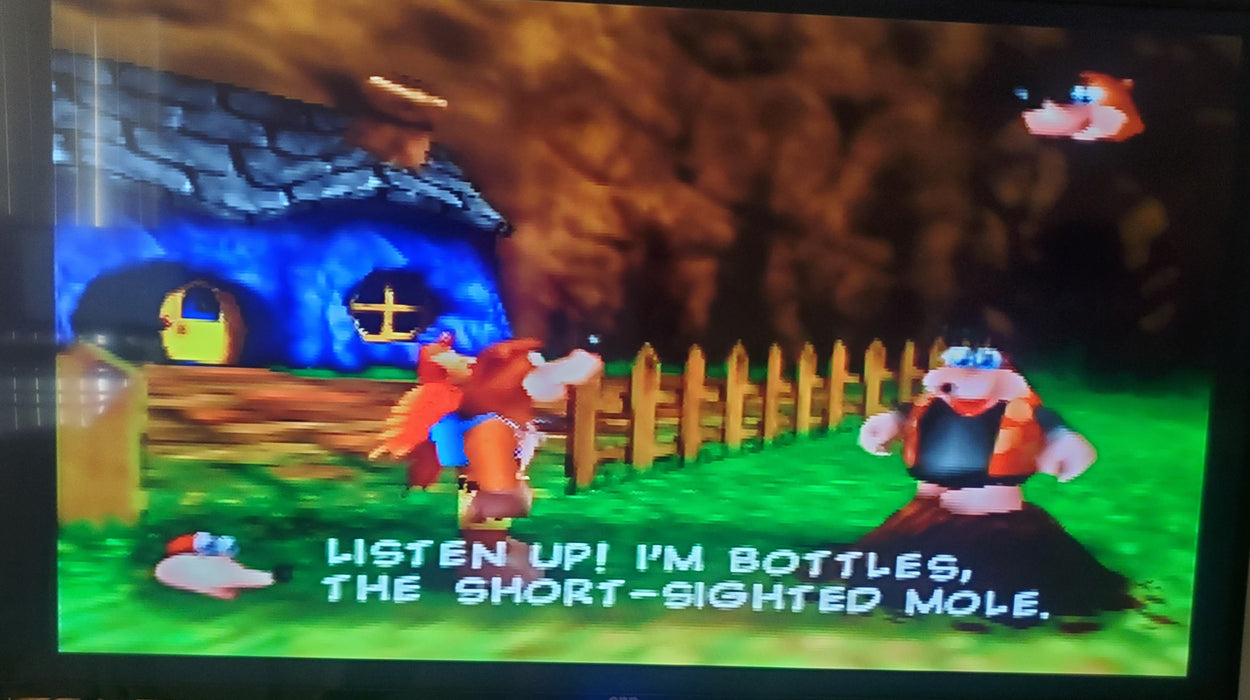 Banjo Kazooie N64 Nintendo 64 Video Game Cartridge 1998 - for just $21.99! 