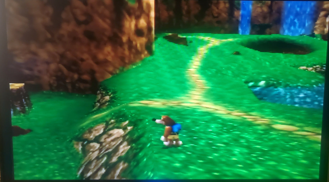 Banjo Tooie N64 Nintendo 64 Video Game Cartridge 2000 - for just $21.99! 