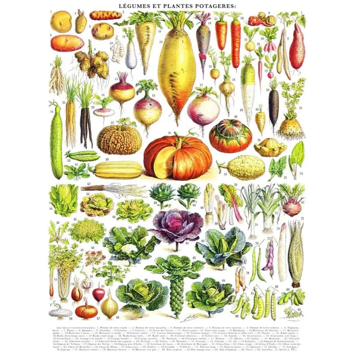 Vegetables ~ Légumes 1000 Piece Jigsaw Puzzle NYPC - for just $28.99! 