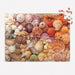 Vibrant Seashells 1000 Piece Jigsaw Puzzle Galison - for just $19.99! 