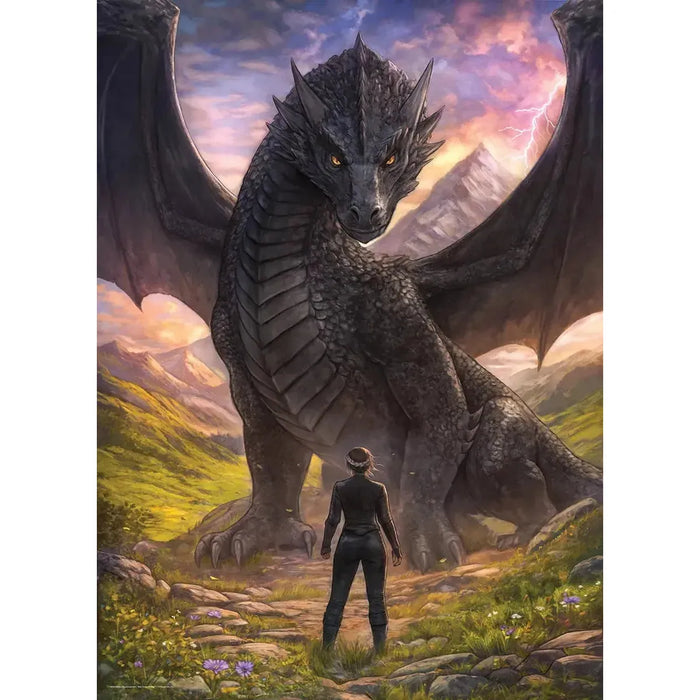 Violet Meets Tairn Fourth Wing 1000 Piece Jigsaw Puzzle Eurographics - for just $24.99! 