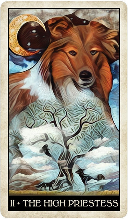 Wise Dog Tarot - for just $22.95! 