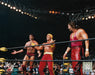 Scott Hall, Hulk Hogan, & Kevin Nash Form the nWo 8" x 10" WWE Wrestling Photo - for just $9.99! 